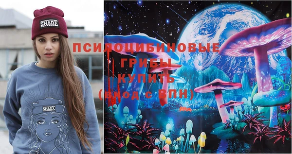 spice Баксан